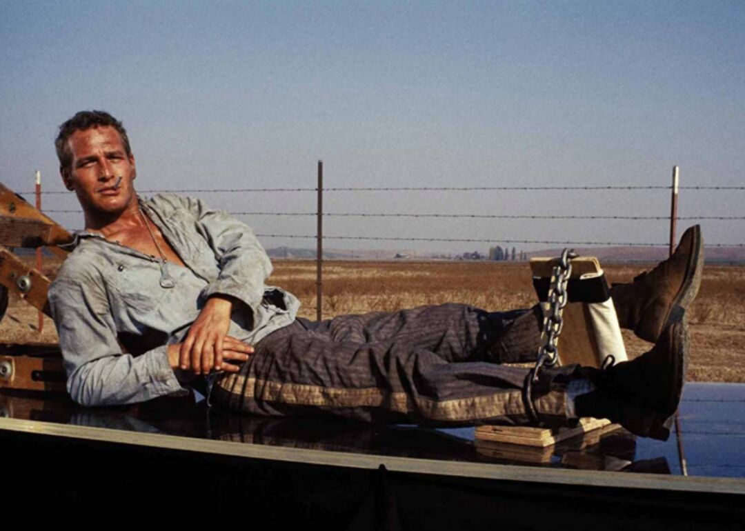 #75. Cool Hand Luke (1967)
